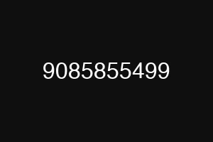 9085855499