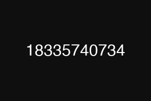 18335740734