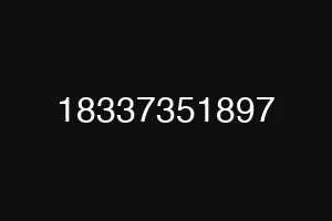 18337351897
