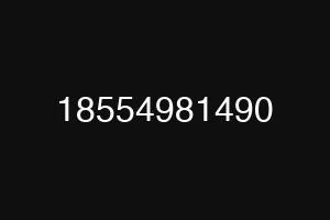 18554981490