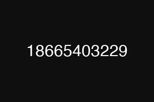 18665403229