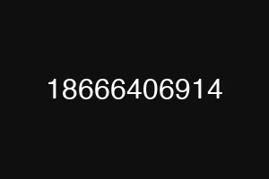18666406914