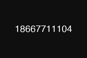 18667711104