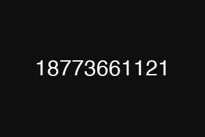 18773661121