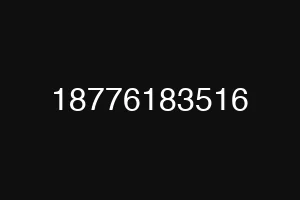 18776183516