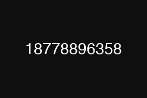 18778896358