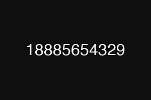 18885654329