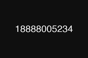 18888005234
