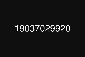 19037029920