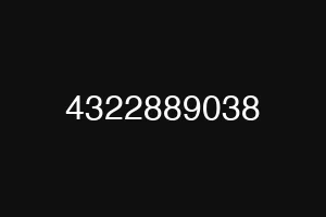 4322889038