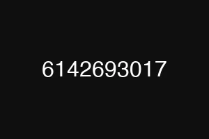 6142693017