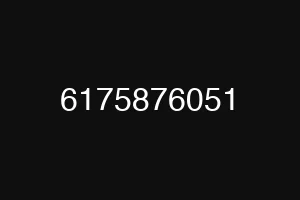 6175876051