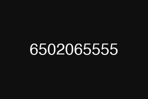 6502065555