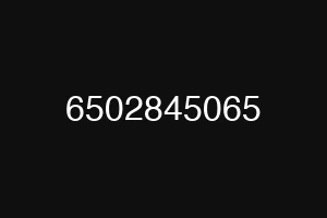 6502845065
