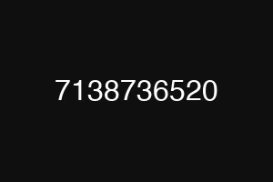 7138736520
