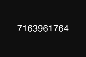 7163961764