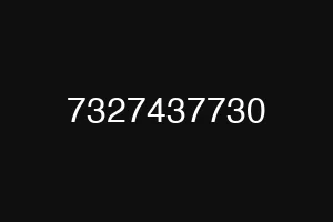 7327437730