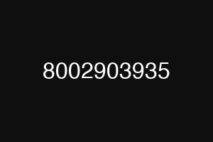 8002903935
