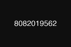 8082019562