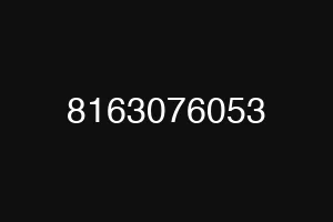 8163076053