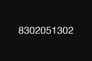 8302051302