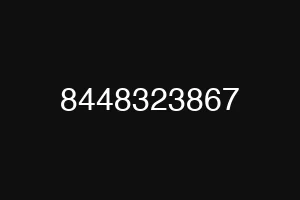 8448323867