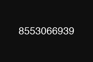 8553066939