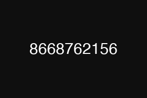 8668762156