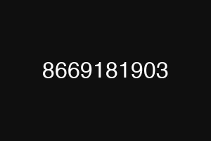 8669181903