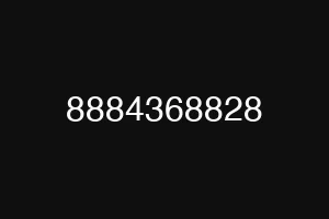 8884368828