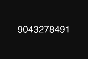 9043278491