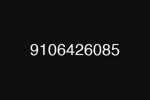 9106426085