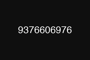 9376606976